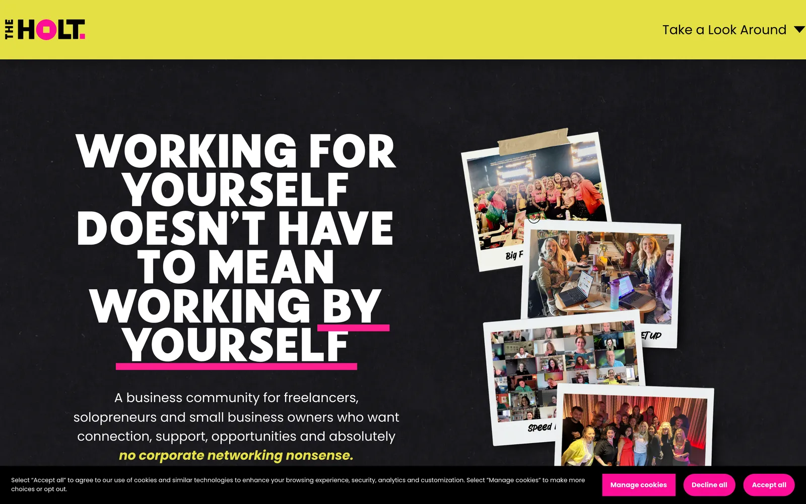 The previous HoLT homepage on its old platform, with the same headline.